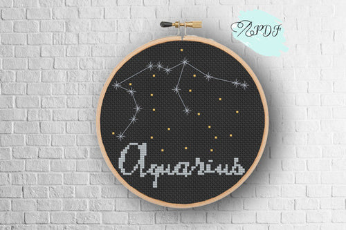 Aquarius Cross Stitch Pattern